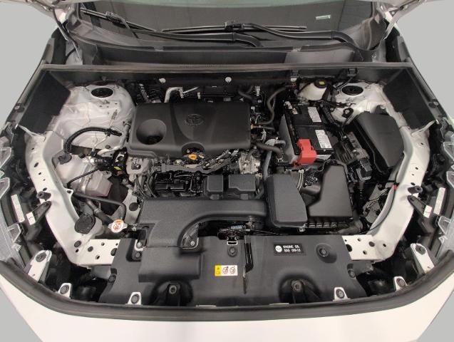 2025 Toyota RAV4 XLE AWD